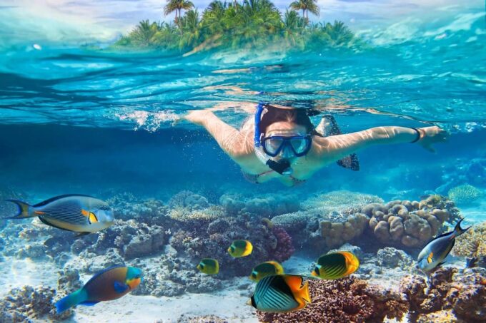 Snorkeling at Blue Lagoon Bali With Lunch and Transport - Pricing Information