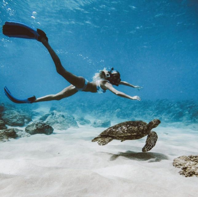 Snorkeling at Blue Lagoon, Tanjung Jepun and Waterfall - Booking Information