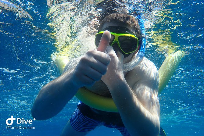 Snorkeling at Catalina Islands - Key Points