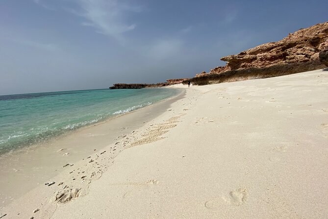 Snorkeling at Dimaniyat Islands and Dolphin Watching - Spotting Marine Wildlife