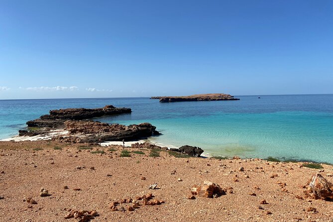 Snorkeling at Dimaniyat Islands and Dolphin Watching - Transportation and Meeting Points
