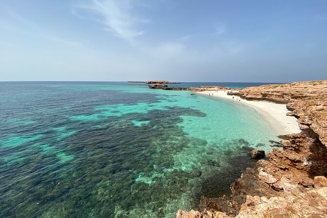 Snorkeling at Dimaniyat Islands and Dolphin Watching - Inclusions and Considerations