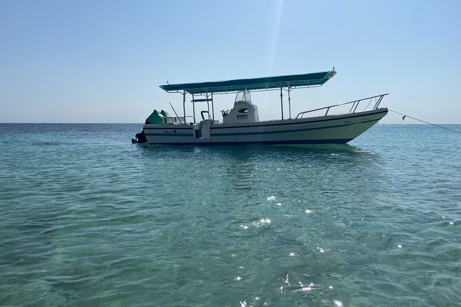 Snorkeling at Dimaniyat Islands and Dolphin Watching - Tour Duration and Group Size