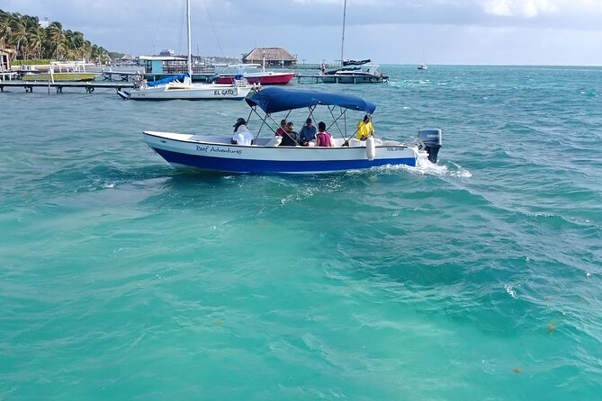 Snorkeling at Hol Chan Marine Reserve & Shark Ray Alley (3.0 Hrs) - Highlights of the Snorkeling Experience