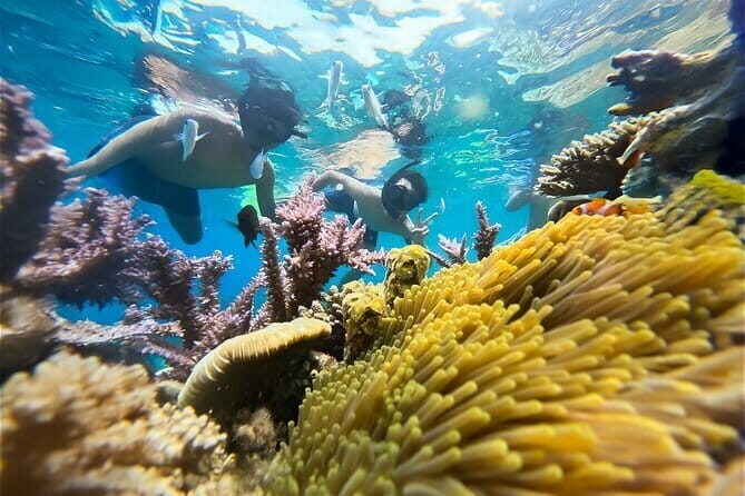 Snorkeling at m By island - The Sum Up