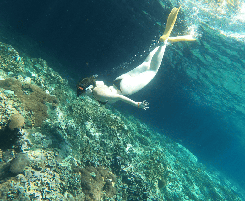 Snorkeling at Manta Point and 3 Other in Nusa Penida - Manta Ray Encounters