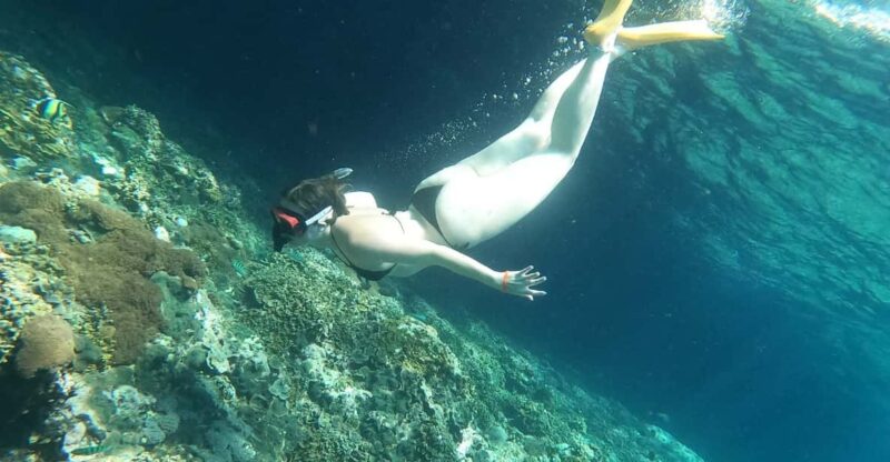 Snorkeling at Manta Point and 3 Other in Nusa Penida - Coral Reefs and Marine Life