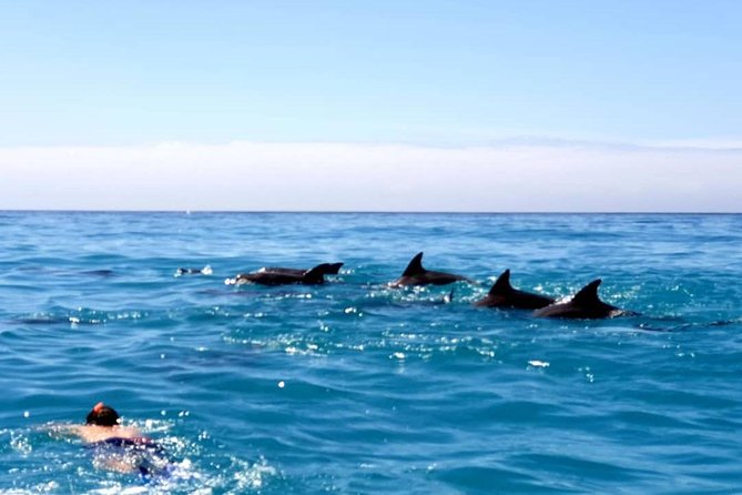 Snorkeling at Mnemba Atoll - Pickup and Accessibility Details