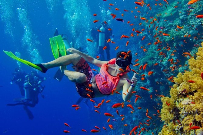 Snorkeling at Mnemba Atoll - Booking and Additional Information