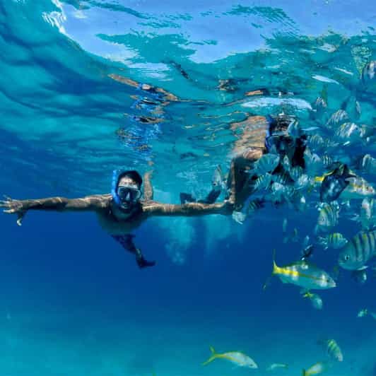 Snorkeling at Puerto Morelos Reefs National Park - Reef Highlights