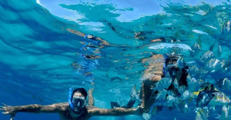 Snorkeling at Puerto Morelos Reefs National Park - Tour Itinerary