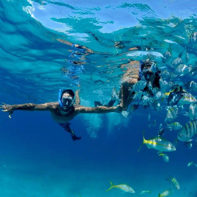 Snorkeling at Puerto Morelos Reefs National Park - Pricing and Booking
