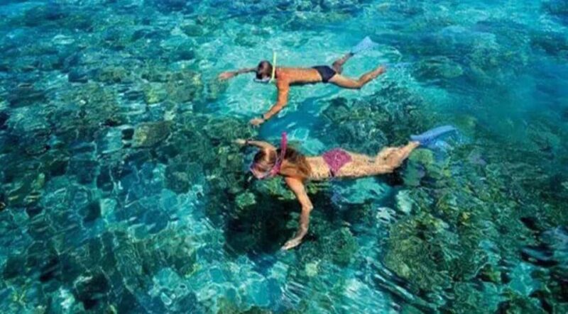 Snorkeling at Puerto Morelos Reefs National Park - Customer Reviews