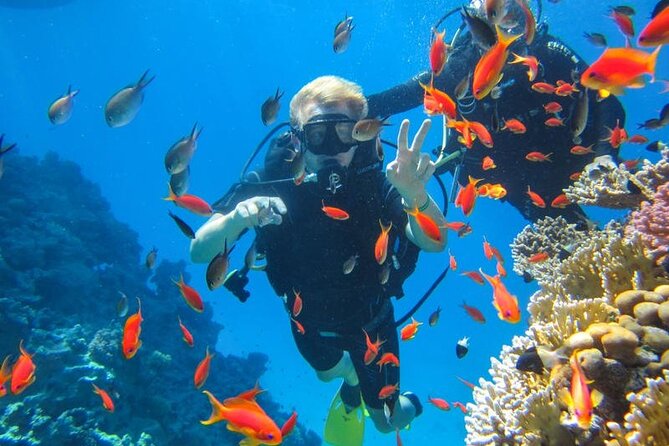 Snorkeling at Ras Mohamed in Sharm El Sheikh - Key Highlights of Ras Mohamed