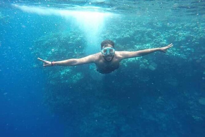 Snorkeling at Ras Mohamed in Sharm El Sheikh - Guest Reviews and Ratings