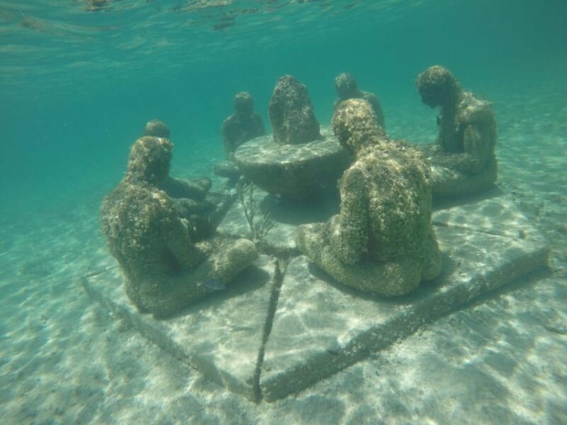 Snorkeling at the Aquatic Museum - Experience Highlights