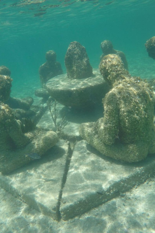 Snorkeling at the Aquatic Museum - Inclusions and Exclusions