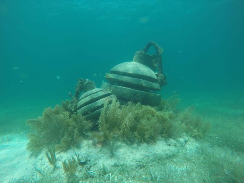 Snorkeling at the Aquatic Museum - Schedule and Availability