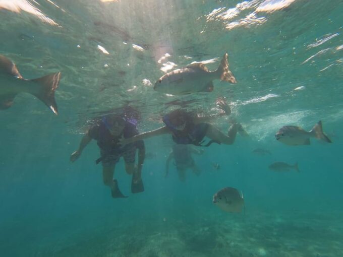 Snorkeling at the Aquatic Museum - Driving Your Own Boat