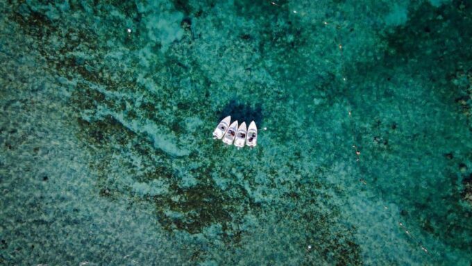 Snorkeling at the Aquatic Museum - Wildlife Observation