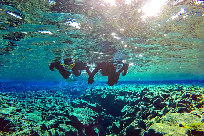 Snorkeling Between Continents in Silfra With Photos Included - Exploring the Fissures Marine Life