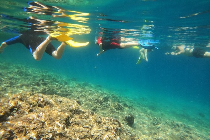 Snorkeling Boat Excursions in Nea Makri Athens - Age and Skill Requirements