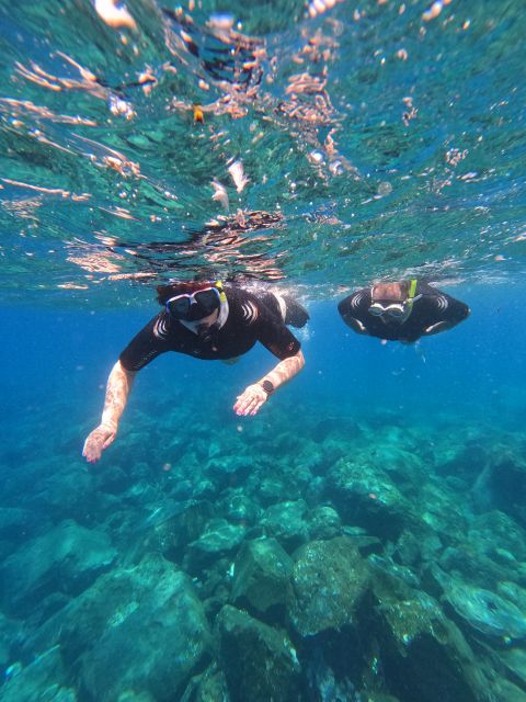Snorkeling Boat Trip in Marine Turtles Natural Habitat - Frequently Asked Questions