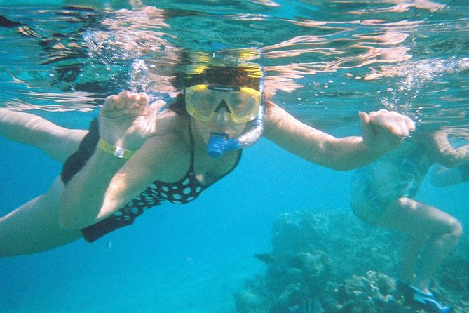 Snorkeling by Boat to Ras Mohamed and White Island Excursion in Sharm - Questions About Your Stay