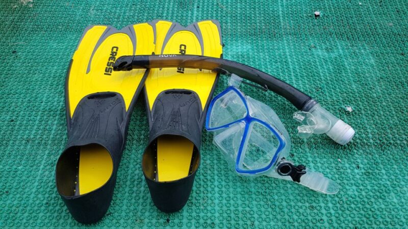 Snorkeling Cham Island: Snorkeling Tour by Speed Boat - Customer Feedback