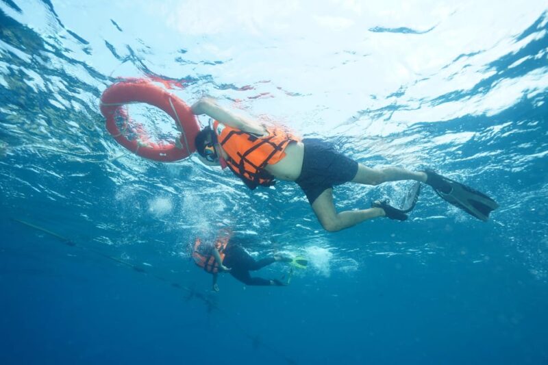 Snorkeling Course, Become a Confident Snorkeler. - Experience Highlights