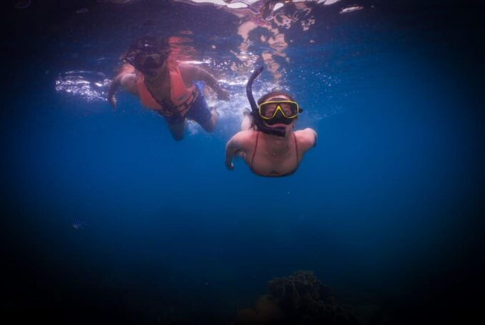 Snorkeling Course, Become a Confident Snorkeler. - Entry Fees