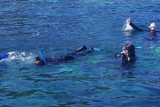 Snorkeling - Tour Duration