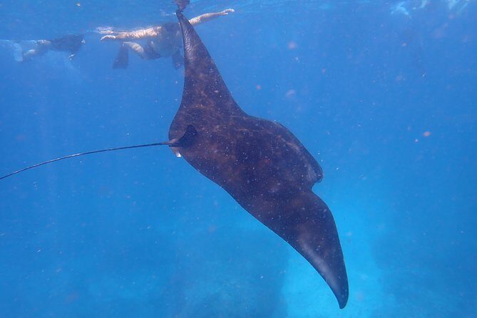 Snorkeling Day Trip To Lembongan and Penida - The Itinerary Breakdown