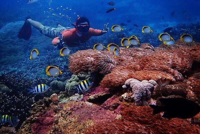 Snorkeling Day Trip To Lembongan and Penida - Included Amenities