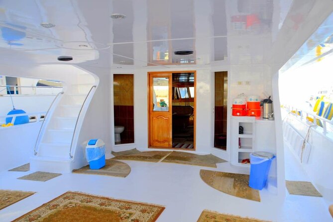 Snorkeling Day Trip To Ras Mohamed And White Island By VIP Boat - Key Points