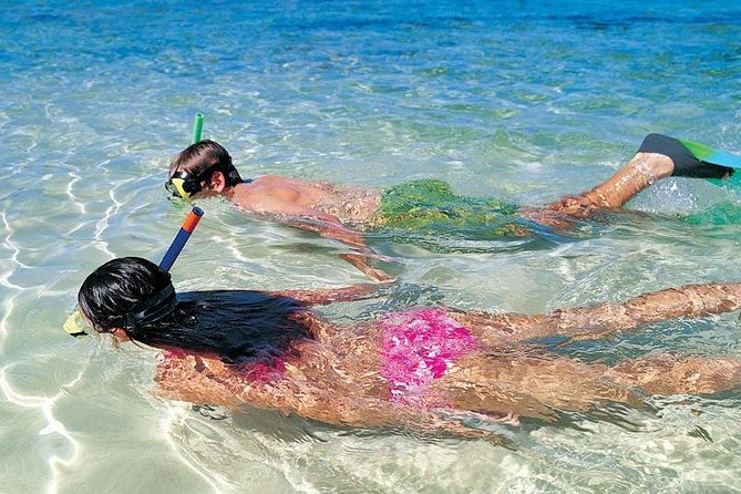 Snorkeling Discovery Sailing in Los Cabos - Included in the Experience