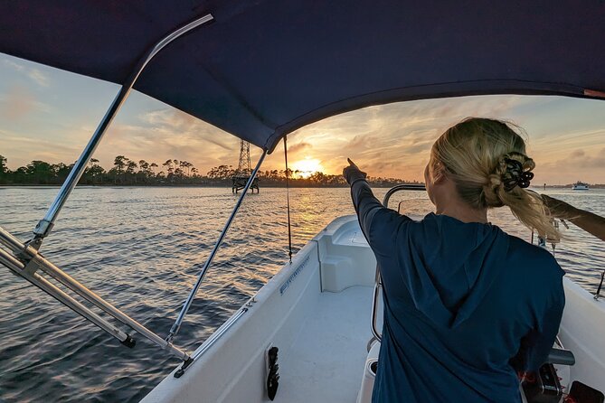 Snorkeling, Dolphin and Wildlife Sightings at St. Andrews Bay - Sighting Dolphins