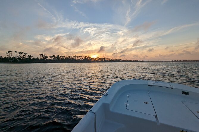 Snorkeling, Dolphin and Wildlife Sightings at St. Andrews Bay - Customized Experiences