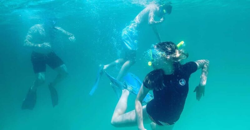 Snorkeling, Dolphins, and Crab Island - Sightseeing Cruise