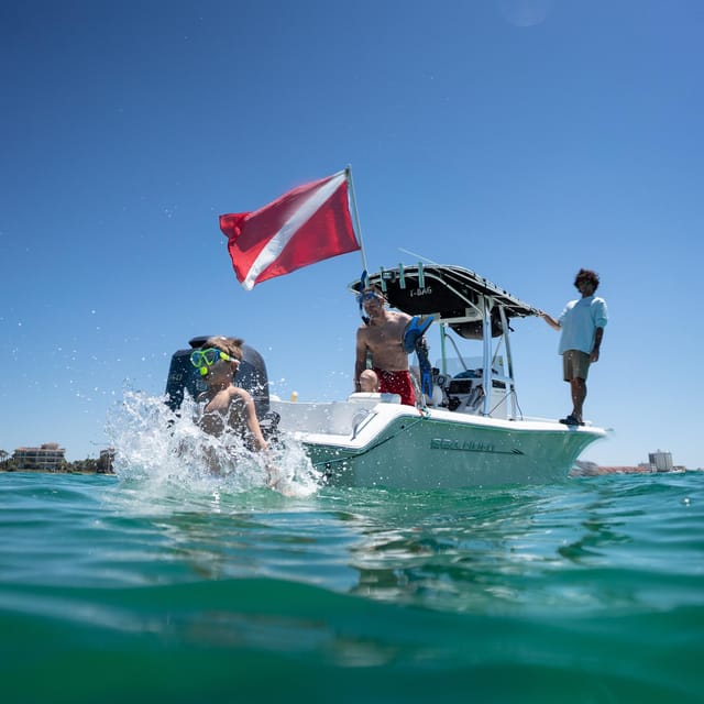 Snorkeling, Dolphins, and Crab Island - Dolphin Watching
