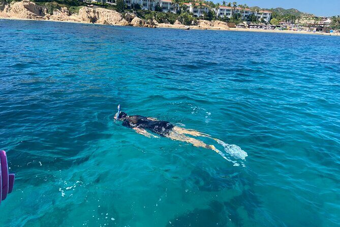 Snorkeling en San José del Cabo , Lunch , Snack , Drinks - Food, Drinks, and Overall Value