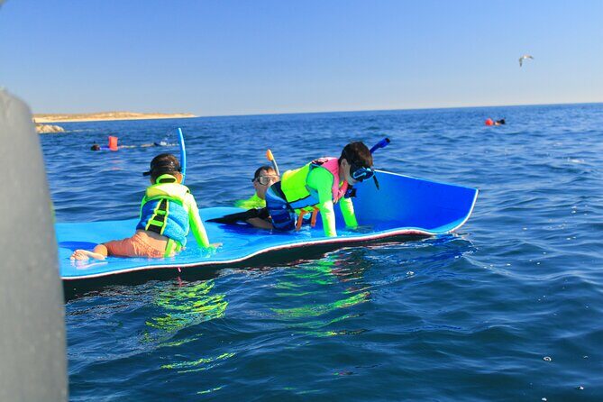 Snorkeling en San José del Cabo , Lunch , Snack , Drinks - Frequently Asked Questions