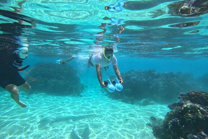 Snorkeling EN Underwater Scooter in Tahiti - An In-Depth Look at the Tour Experience