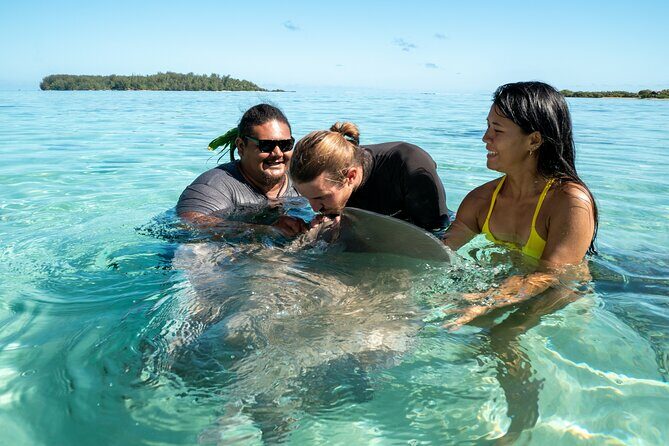 Snorkeling excursion and encounter with marine fauna in Moorea - An In-depth Look at the Moorea Snorkeling Tour