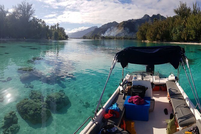 Snorkeling excursion, discovery of the lagoon, small group. - Discover Moorea’s Lagoon with a Small-Group Snorkeling Excursion