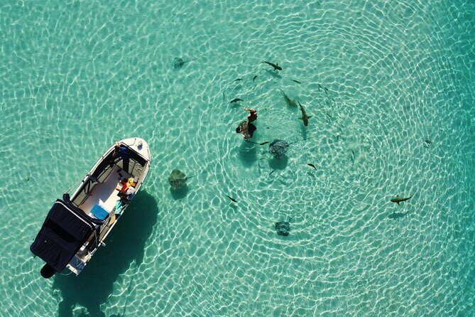 Snorkeling excursion, discovery of the lagoon, small group. - Key Points