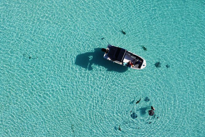Snorkeling excursion, discovery of the lagoon, small group. - Who Will Love This Tour?