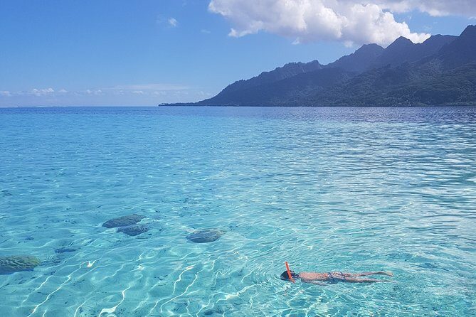 Snorkeling excursion, discovery of the lagoon, small group. - Final Thoughts