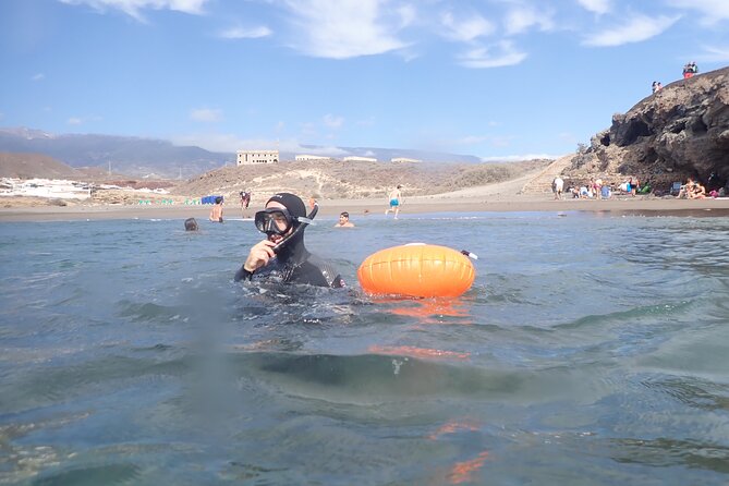 Snorkeling Excursion In South Tenerife - 3,5 Hours - Discover Tenerifes Aquatic Wonders