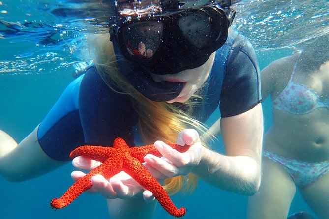 Snorkeling Excursion in Tabarca Island - Price and Guarantee